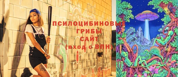 дмт Кулебаки