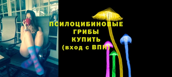 дмт Кулебаки