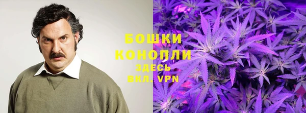 дмт Кулебаки